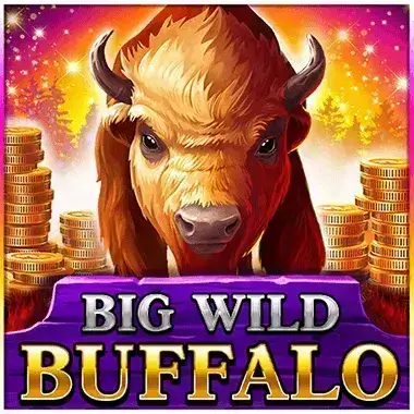 Play Big Wild Buffalo Golden Mister casino
